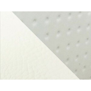 �O�����h�}�� �W�����I�iAF52�j ���Y�V�[�g�J�o�[ �G���{�X�z���C�g���� �W�����I �^�C�v �킹 �d�l �����X�e�b�` GR82HC282S0