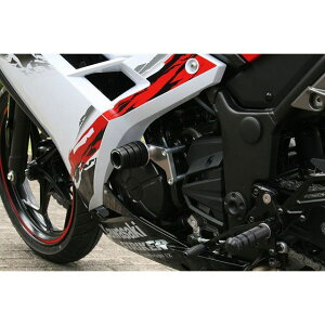XgCJ[ K[hXC_[ AiI[ubNj NINJA250/ABS Z250 SS-GS117B-F3