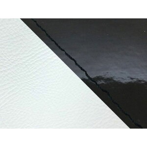 Oh} WmiAF24j/WJuiAF53j YV[gJo[ GiubN WJu Wm ^Cv 킹 dl Xeb` GR53HC552S10