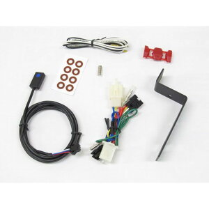 vebN 11536 Vtg|WVCWP[^[pn[lX ZZ-R1100iDtypej 11536