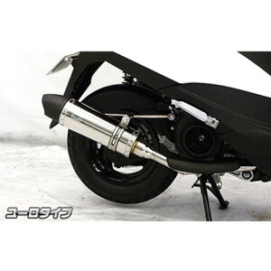 ウイルズウィン アクシスZ用 ロイヤルマフラー ユーロタイプ アクシスZ オプション オプションB+D