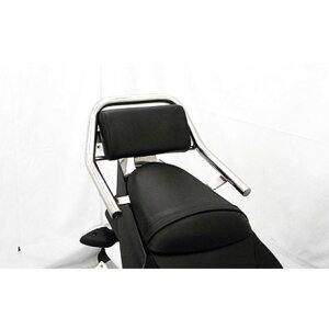 ECYEB GSX250Rp obNXgt^fo[ GSX250R