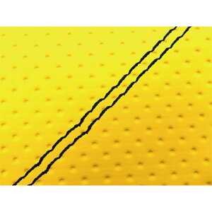 �O�����h�}�� �A�h���X110�iEBJ-CE47A�j4�X�g���[�N/�X�Y�L �O�����h�}�����Y�V�[�g�J�o�[ ���ցi�t���G���{�X�C�G���[/���_�u���X�e�b�`�j �A�h���X110 GH5576SC400SW10