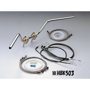 nP[ ZII-TYPE nhLbgiVo[/XeXz[Xj CB1000SF HBK503AS