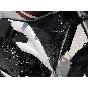 {fB[X^C WG[^[TChJo[ HONDA CB600 Hornet 2007-2010 h CB600 Hornet bds_6530039