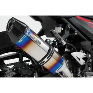 BMS CORSA-EVO II XbvI}t[ q[g`^ {F Ninja250 G430-65-P6J