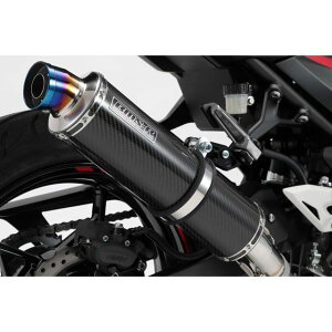 BMS R-EVO XbvI}t[ J[{ {F Ninja250 G430-53-P2J