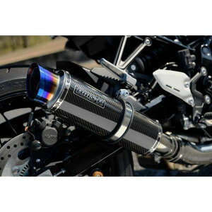 BMS R-EVO2 XbvI}t[ J[{ {F Z900RS G429-54-P2J