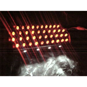 tlCo[ GPZ1100NINJAijWji95`00j/ZX-7Ri96`03j/XANTHUS400iUUXjpLEDe[jbg dl m[}^Cv