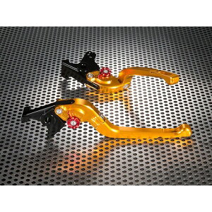 ユーカナヤ Rタイプ 可倒式 アルミ削り出しビレットレバー(レバーカラー:ゴールド) 675ストリートトリプルR/RX カラー 調整アジャスター:ブルー TR002-016-0702-04