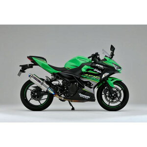 I[o[[VO TT-Formula t`^ XbvI}t[ Ninja400 E17-722-03