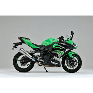 I[o[[VO TT-Formula RS{PRO t`^ XbvI}t[ Ninja250 E17-693-05