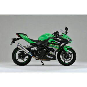 I[o[[VO TT-Formula RS{PRO t`^ XbvI}t[ Ninja400 E17-722-05