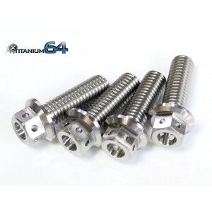 �`�^�j�E��64 �t�����W�w�b�h�{���gM8×25mm P1.25 �ėp �J���[ �u���C�g�V���o�[ 64FH-0825