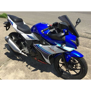 �A�N���|�C���g �X�Y�L GSX250R �X�g���[�g�X�N���[���i�X���[�N�j GSX250R 160221