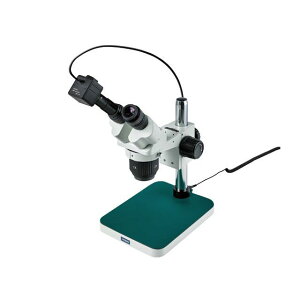 z[U L-KIT611 ̌ PCp L-KIT611