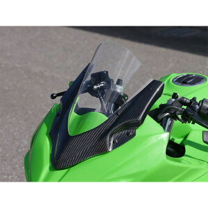 ˒Jt@Ng[ oCU[JE XN[ʔ Ninja250 dl J[{D 3K8NJ25FBC-CB1