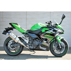 r[gWp NASSERT-R Evolution Type II `^[VO}t[iNA`^j Ninja250 1002-B56-50