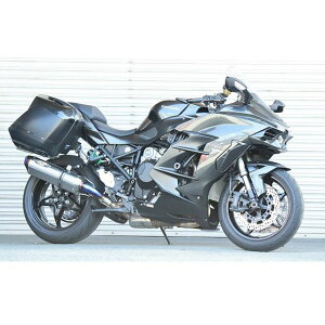 r[gWp NASSERT Evolution TypeII XbvI}t[iNA`^TCT[j Ninja H2 SX/SX SE 0222-KE6-50
