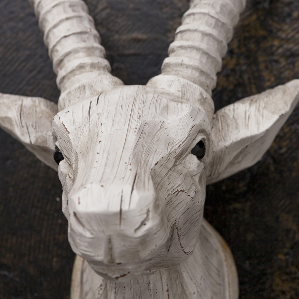 楽天市場】山羊 壁掛けオブジェ ハンティングトロフィー 剥製 シカ 鹿