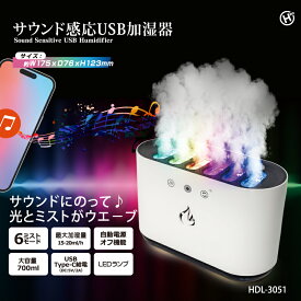 サウンド感応USB加湿器 サウンドシンクロ USB 6モード レインボー イルミネーション 加湿機 乾燥 大容量 タンク ライティング スマホ ミュージック LED ランプ 発光 超音波 虹色 ミスト 感応モード 周囲 音に反応 家庭用 コンパクト 手入れ 給水 Type-C 自動電源オフ