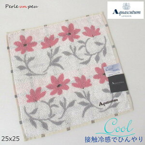 ANAXL[^ nJ` uh nJ`^I ڐG⊴ Ђ ₽ ^InJ` nh^I fB[X 傫 aquascutum ԕ   ^I 킢 25x25 SݓX 