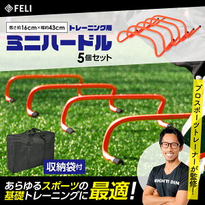 FELI g[jOn[h ~jn[h 5{Zbg [obOt tBWJ ̗ ؗ  TbJ[ tbgT  15cm IW