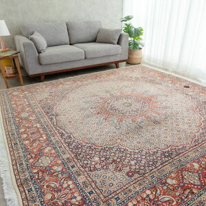 y{CYz244×248cm yVO~ `TCYMi D VR 킢  O~ O E[100% yVjBOLUFAY@{t@C