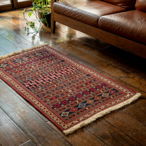 y{CYz66×113cm L փ}bgi D VR 킢  O~ OjZAFERAN@Tt