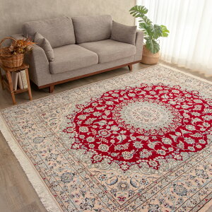 yyVDO~z199×255cm iCYi D VR 킢  k  g[Ή lC }bg O~ Oj