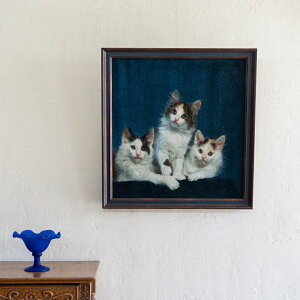 yyVDO~zz53×56cm ^u[YYi D VR 킢  k  lC O~ yV G A[gj