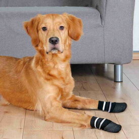 楽天市場 ペア ソックス 適正犬種ゴールデン レトリバー ペット ペットグッズ の通販