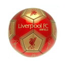 リバプール・フットボールクラブ Liverpool FC オフィシャル商品 サイン Skill ボール 【楽天海外直送】