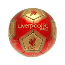 リバプール・フットボールクラブ Liverpool FC オフィシャル商品 サイン Skill ボール 【楽天海外直送】