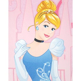 (シンデレラ) Cinderella オフィシャル商品 キッズ・子供 ガールズ Tシャツ 半袖 トップス カットソー 【海外通販】