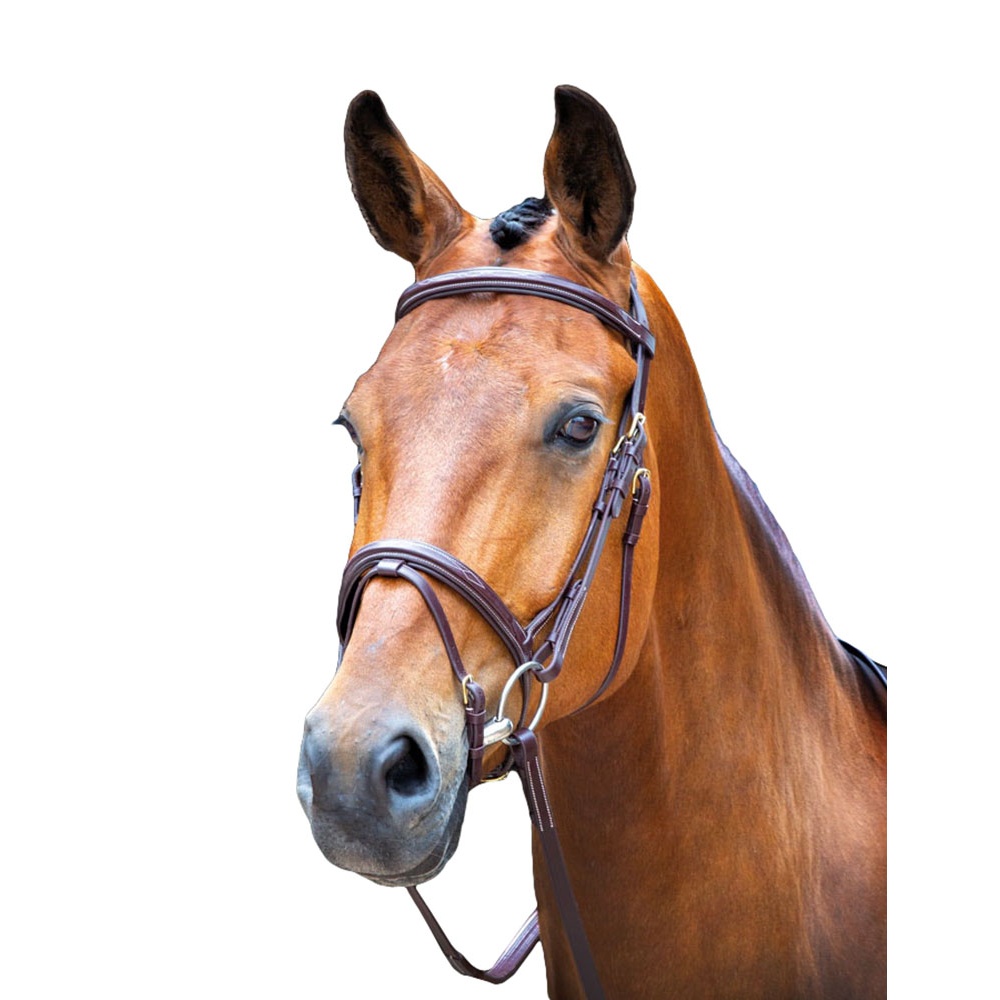 馬装具 馬具 乗馬用品 頭絡 馬術  ソールズベリー  Salisbury 馬用 ボーデナム レザー ブライドル 乗馬 頭絡 馬具 ホースライディング