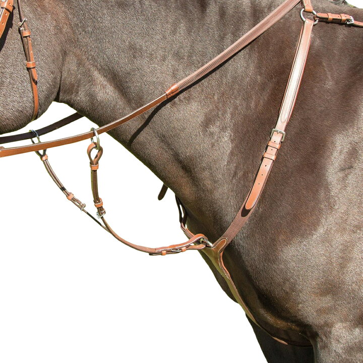 楽天市場】(アヴィニョン) Avignon 馬用 レザー ブレストプレート 乗馬 胸がい 馬具 ホースライディング 【海外通販】 : Pertemba  Japan