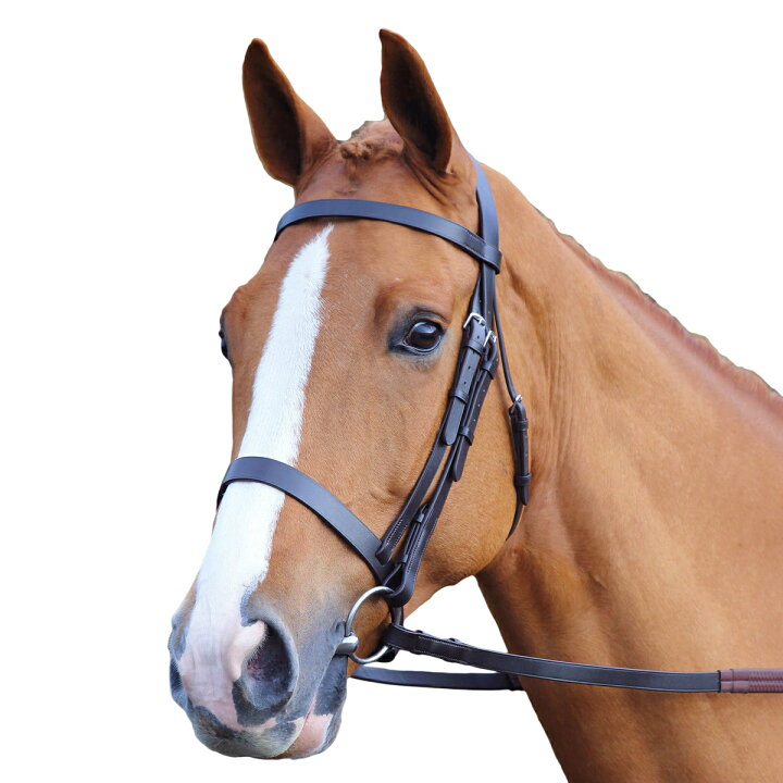 (アビモア) Aviemore 馬用 プレーン レザー ブライドル 乗馬 馬具 頭絡 ホースライディング 【海外通販】 Pertemba Japan (アビモア) Aviemore レザー ヘッドカラー用 ブレークアウェイ 留め具 乗馬 パーツ ホースライディング