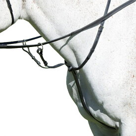(アヴィニヨン) Avignon 馬用 レザー ラニングマルタンガール 乗馬 馬具 ホースライディング 【海外通販】