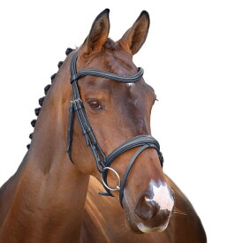 (ベロシティ) Velociti 馬用 Lusso ブライドル レザー ドレッサージュ フラッシュ 乗馬 頭絡 馬具 ホースライディング 【海外通販】