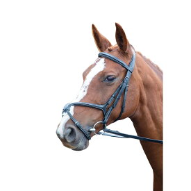 (アヴィニヨン) Avignon 馬用 グラックル頭絡 レザー ブライドル 乗馬 馬具 ホースライディング 【海外通販】
