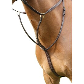 (ソールズベリー) Salisbury 馬用 レザー ラニングマルタンガール 乗馬 馬具 ホースライディング 【海外通販】