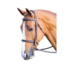 (ソールズベリー) Salisbury 馬用 フェアフォード レザー ブライドル 乗馬 頭絡 馬具 ホースライディング 【海外通販】