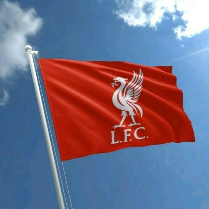 楽天市場】リバプール・フットボールクラブ Liverpool FC オフィシャル 