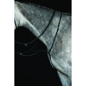 (カレッジエイト) Collegiate 馬用 レザー ランニングマルタンガール IV 馬具 乗馬 ホースライディング 【海外通販】