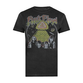 (ピンク・フロイド) Pink Floyd オフィシャル商品 メンズ All Seeing Eye Tシャツ ウォッシュ加工 コットン 半袖 トップス 【海外通販】