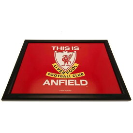 リバプール・フットボールクラブ Liverpool FC オフィシャル商品 This Is Anfield クッション入り ひざ上トレイ ひざ上テーブル 【海外通販】
