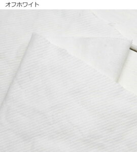 n n Rbg100tX/K[[WtFCXGA[^u[H(8790) cC 120cmX10cmPʌv蔄 { n W  q m pc s[X