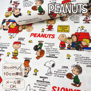 Xk[s[ n LN^[yEwz108cm { RbgIbNXsXk[s[ NVbNt(823528OWO) PEANUTS SNOOPYs[ibcy10cmPʁzynz̑ Gv wOb