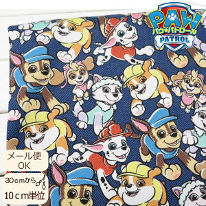 n w 108cmЁpEEpg[y10cmPʁzTCcC(4619-1A)bXobO Gv q ̑